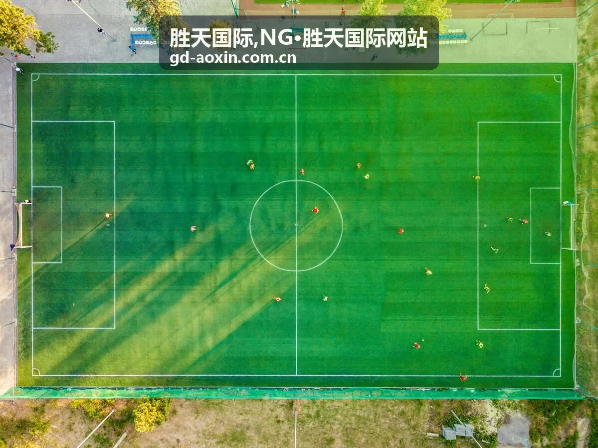 胜天国际最新内容展示的商务交流场景